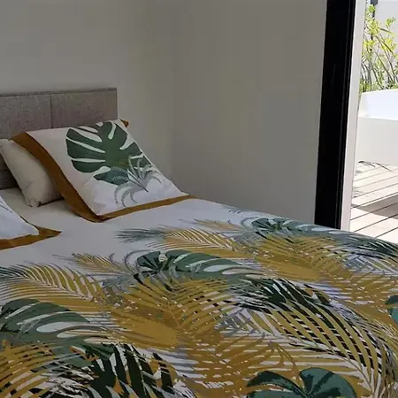 Stunning Family With Pool In Cap D'agde Holiday home Agde