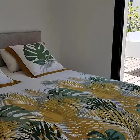 Stunning Family With Pool In Cap D'agde 別荘